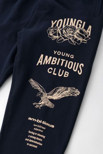 YoungLA menn 233 de udødelige joggere klær H4N2T847 grå vasket