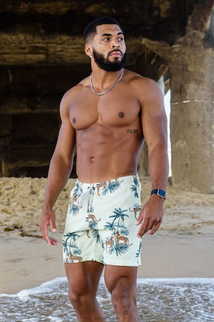 YoungLA menn 128 abstrakte badeshorts \'22 klær H4N2T707 forkledd tiger