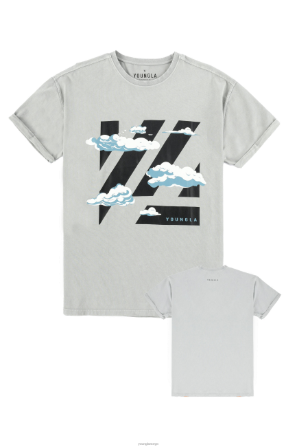 YoungLA menn 452 flokken tees klær H4N2T270 blokkfest
